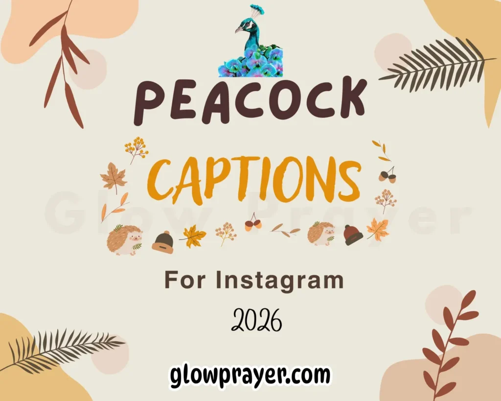 155+ Peacock Captions For Instagram (2026) GlowPrayer
