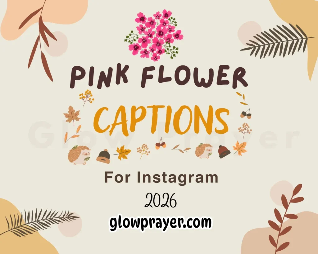 255+ Pink Flower Instagram Captions For Every Beautiful Moment GlowPrayer